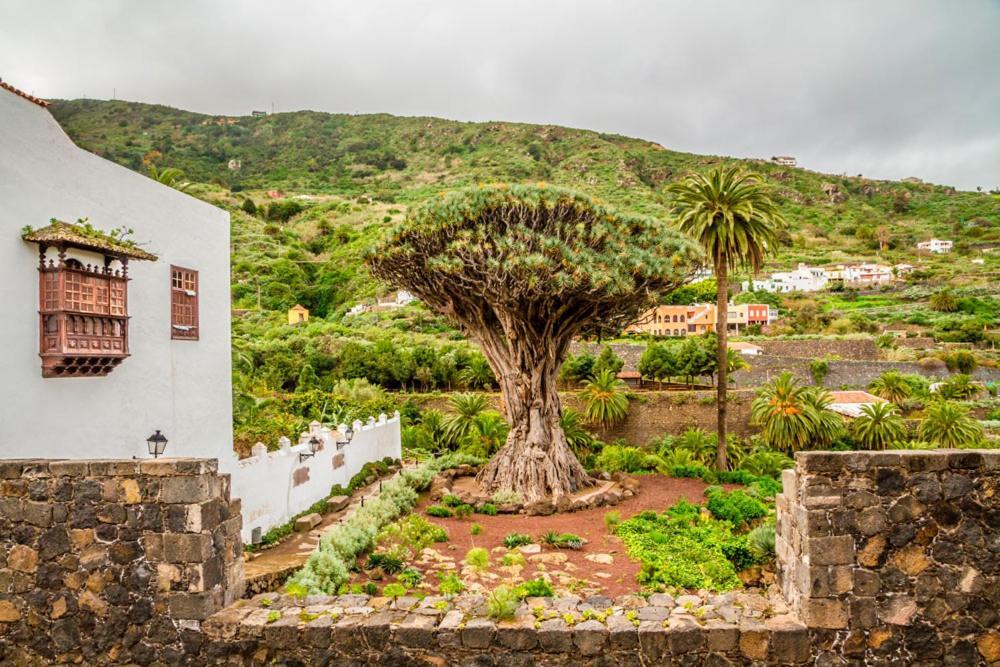 Acogedor Estudio En Playa San Marcos, Icod De Los Vinos公寓 外观 照片