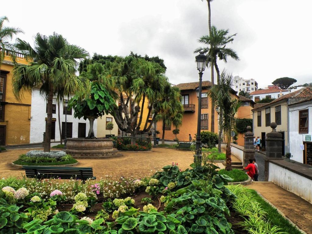 Acogedor Estudio En Playa San Marcos, Icod De Los Vinos公寓 外观 照片